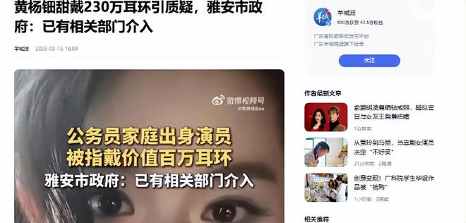 下场黄杨钿甜父亲被正式立案调查冰球突破天价耳环风波不断亲自(图2)
