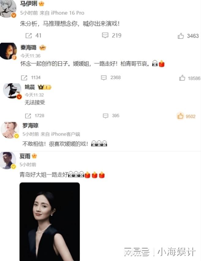 夫辛柏青悲痛发文赵丽颖等多位明星悼念冰球突破豪华版演员朱媛媛患癌去世丈(图12)