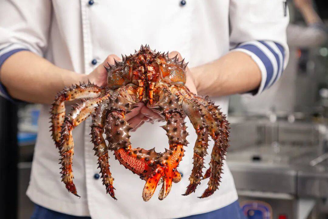 统冻品项目；新天力IPO顺利过会冰球突破豪华版安井食品叫停四个传(图4)