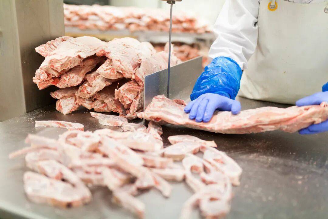 统冻品项目；新天力IPO顺利过会冰球突破豪华版安井食品叫停四个传(图7)